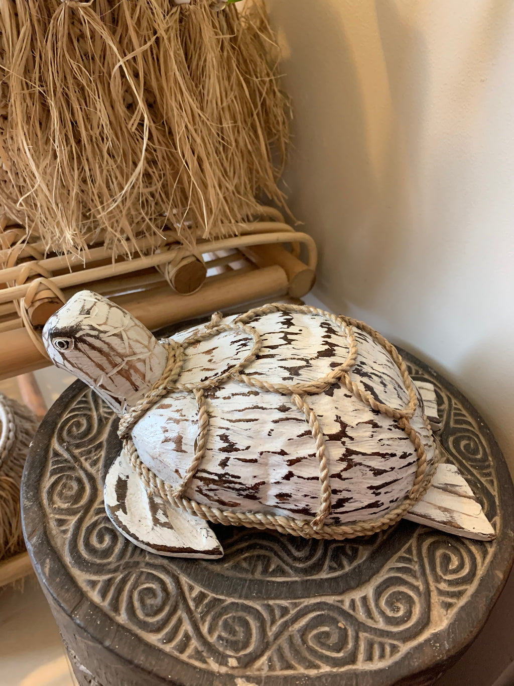 Coconut turtle. White